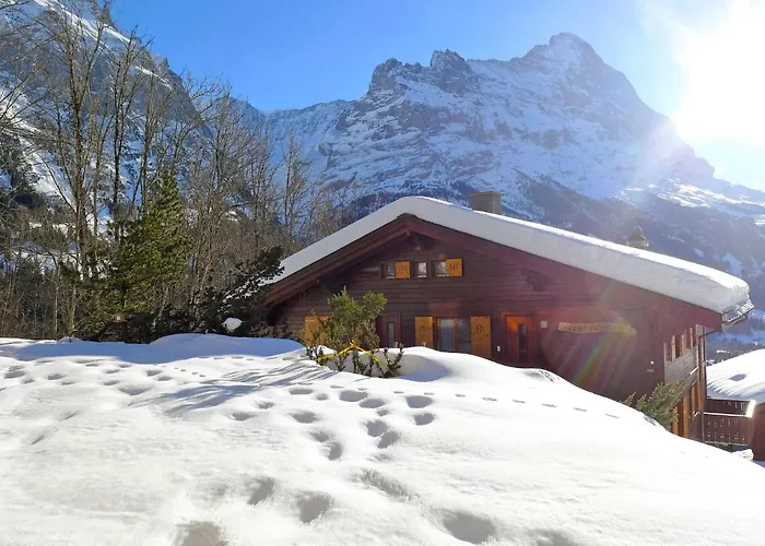 Sunneblick By Interhome * גרינדלוולד