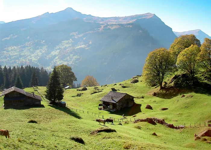 Sunneblick By Interhome